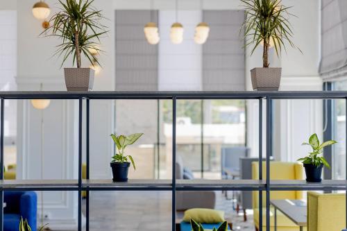 an office cubicle with potted plants on shelves at Panorama Kvariati in Kvariati