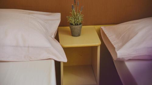 a table with a plant on it next to a bed at Mobile Homes Bilice in Bilice