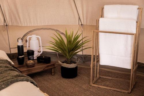 a room with a potted plant and a towel rack at The Sea Forts Cornwall in Torpoint