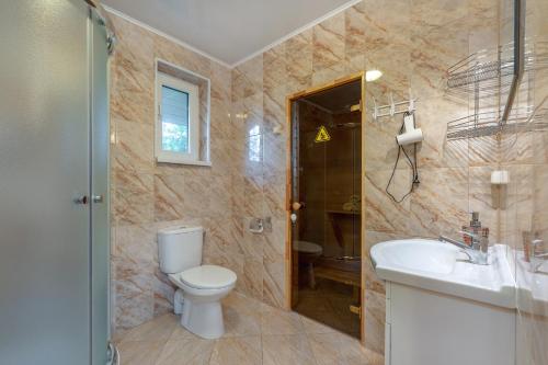 a bathroom with a toilet and a sink and a shower at Karumetsa Apartment in Otepää