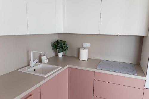 Kuchyňa alebo kuchynka v ubytovaní Apartament Bella Rosa z podziemnym parkingiem