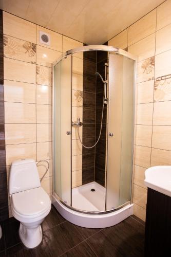 a bathroom with a shower with a toilet and a sink at U Haliny in Biały Dunajec