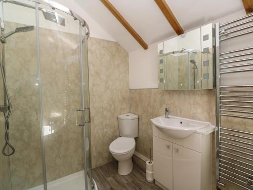 een badkamer met een toilet, een wastafel en een douche bij Godrevy Cottage in Hayle