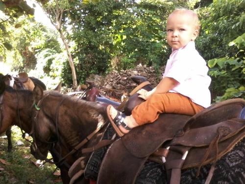 a little boy sitting on top of a horse at La Hacienda Hostel in Las Galeras