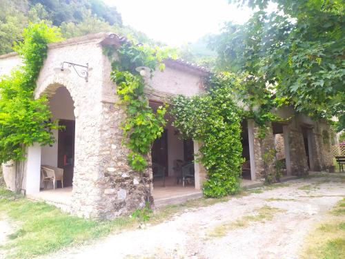 ein altes Steingebäude mit einem Bogen und Reben in der Unterkunft Agriturismo Colloreto in Morano Calabro