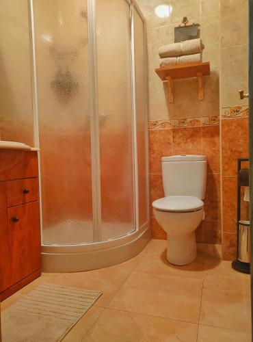 a bathroom with a shower and a toilet at A Casiña do Patio in Quiroga