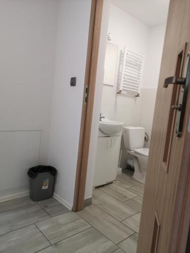 a bathroom with a toilet and a sink at NOCLEGI u ALI in Wałbrzych