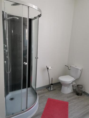 a bathroom with a shower and a toilet with a red rug at F2 DU GATINAIS in Pithiviers