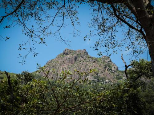 a mountain seen through the trees at Mogi Boutique Hotel in Ezulwini