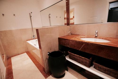 a bathroom with a sink and a mirror at Appartement HALLES in Biarritz
