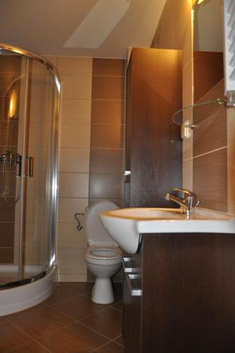a bathroom with a toilet and a sink and a shower at Gościniec u Groszka in Bukowina Tatrzańska