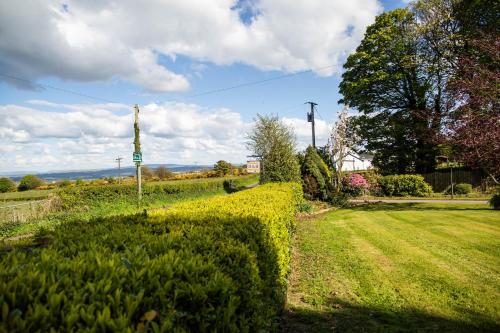 a hedge in a yard with a field of grass at Groarty House/Manor in Derry Londonderry