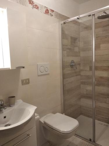 a bathroom with a shower and a toilet and a sink at Appartamenti Abetaia in Dimaro