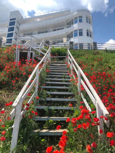 Gallery image of PASHA HOTEL in Eforie Nord