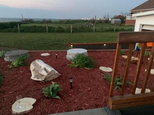 a garden with rocks and plants in a yard at Les studios de la mer in Matane