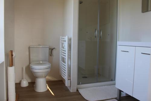 a bathroom with a toilet and a glass shower at La maison de Demeter, 10 min d'Eugénie, calme des Landes Intérieures in Geaune