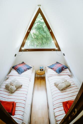 two beds in a small room with a window at Nurdachhaus Marie im Nordschwarzwald in Neuhausen