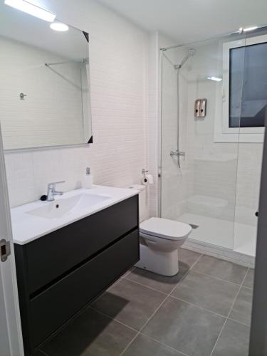 a bathroom with a sink and a toilet and a shower at Ca la Maria in La Seu d'Urgell