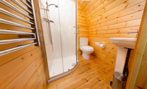 a bathroom with a shower and a toilet and a sink at Glentruim Lodge Ecopod in Newtonmore