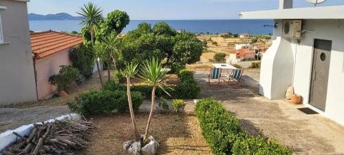 a house with a palm tree in the yard at Giannis Stella apartment in Mourteri