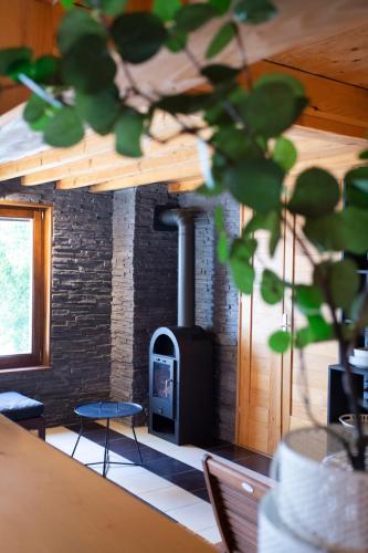 Fotografie z fotogalerie ubytování River house Vasa v Bělehradě