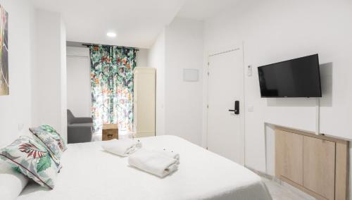Lova arba lovos apgyvendinimo įstaigoje Guesthouse Apartment Seville La Flamenka