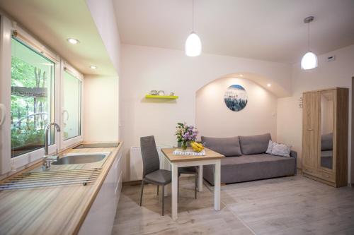 a kitchen and living room with a couch and a table at Apartament przy Parku in Duszniki Zdrój