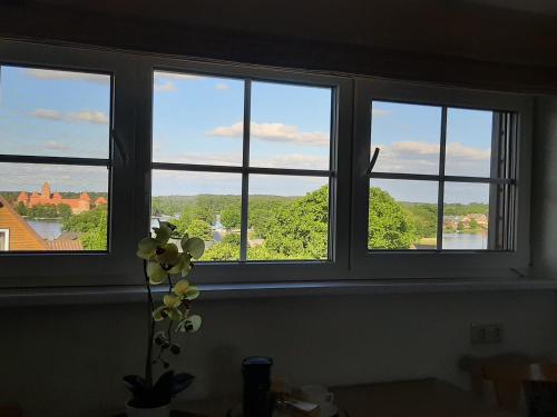 a window with a view of a river and trees at Panorama in Trakai
