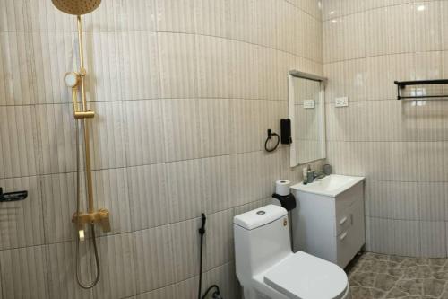 a white bathroom with a toilet and a shower at Heavenly ApHEARTment with backyard swimming pool in Dodoma