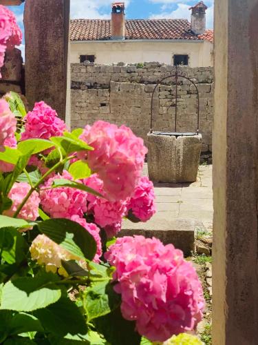 a bunch of pink flowers in front of a building at Bale Luxury House in Bale