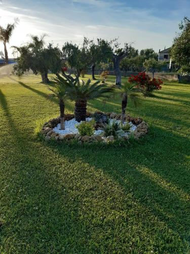 B&B Casa Mare Paestum – Photos 3