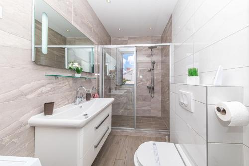 a bathroom with a toilet and a sink and a shower at Villa Antonija 1607 in Ražanj