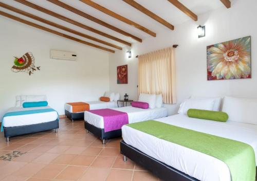 Gallery image of Hotel Experiencia Viva in Mesa del Norte