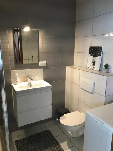 łazienka z umywalką, toaletą i lustrem w obiekcie Apartament NANO z klimatyzacją w mieście Giżycko
