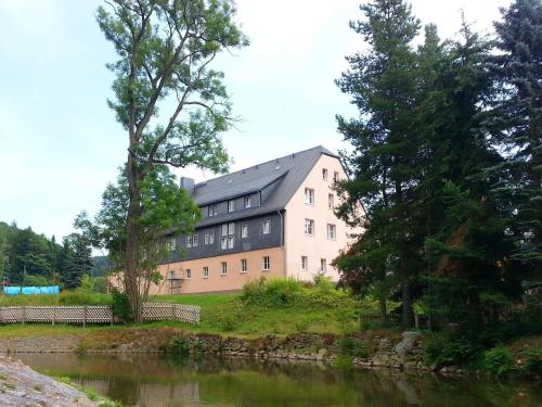 ein Gebäude auf einem Hügel neben einem Fluss in der Unterkunft Apartment in Rauschenbach Saxony near Forest in Neuhausen