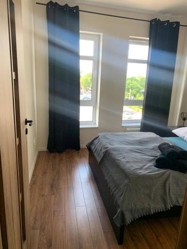 a bedroom with a bed and a window at Apartament Batory in Toruń