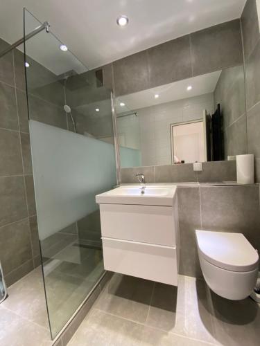 Un baño con inodoro, lavabo y espejo. en Modernes Apartment Duisburg Homberg, en Duisburg