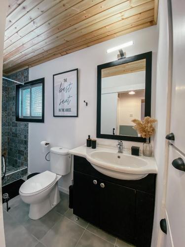 a bathroom with a sink and a toilet and a mirror at Milea Mansion in Limassol
