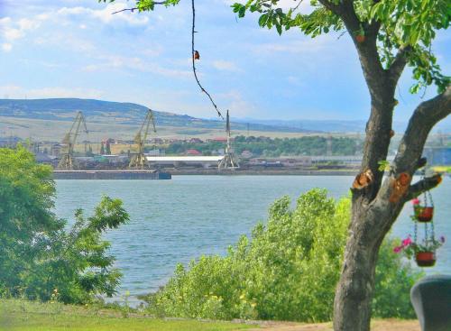 a tree with a view of a body of water at Sorella in Kostol