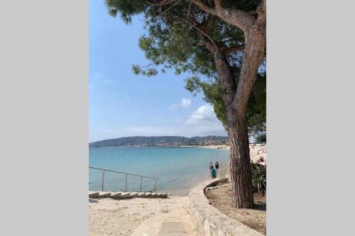 a beach with a tree and people walking on it at Juan les Pins Joli T2 parking inclus! in Antibes