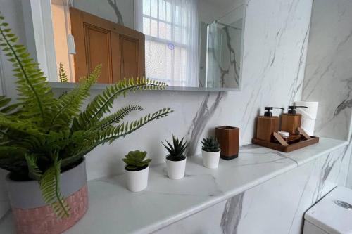 BOUTIQUE CITY CENTRE APARTMENT WITH PARKING في تشيستر: منضدة الحمام مع نباتات الفخار والمرآة