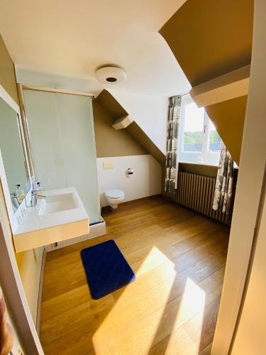 a small bathroom with a sink and a toilet at Gasthof Maerlant in Damme