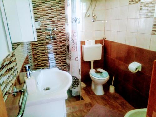 ein Badezimmer mit einem weißen Waschbecken und einem WC in der Unterkunft Rajska idila....Silba in Silba