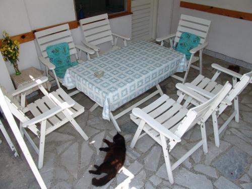 a cat sitting in front of a table and chairs at Bogdanoski Studios & Guest Rooms in Ohrid