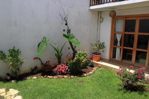 a garden in front of a house with flowers at Gaia Guest House in San Cristóbal de Las Casas