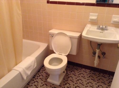 een badkamer met een toilet en een wastafel bij Economy Inn in Lumberton