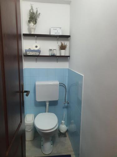 a bathroom with a toilet and a blue tile wall at HostelChe Guest House in Smederevo