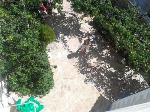 an overhead view of a garden with plants and a sidewalk at Magic Ionian Apartments & Rooms in Himare