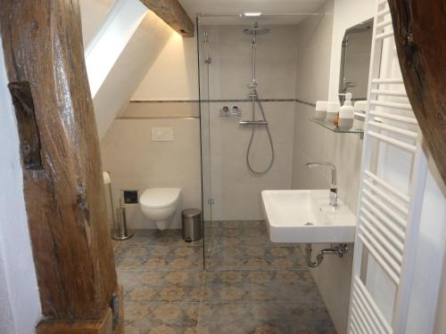 een badkamer met een douche, een toilet en een wastafel bij s' Moose Hof in Weisweil