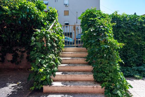 Apartment Goge – Photos 5